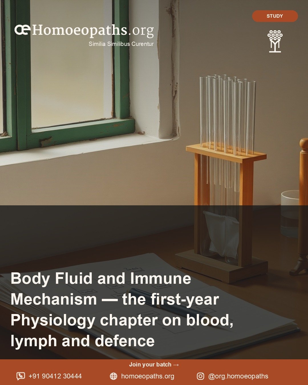 Body Fluid and Immune Mechanism — the first-year Physiology chapter on blood, lymph and defence | Homoeopaths.org