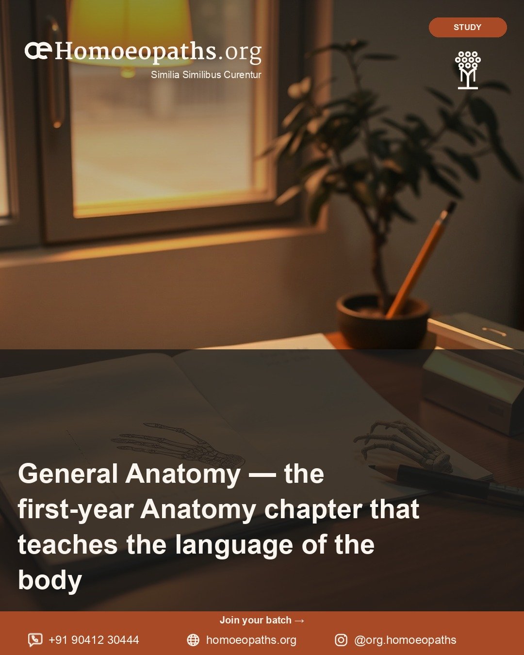 General Anatomy — the first-year Anatomy chapter that teaches the language of the body | Homoeopaths.org