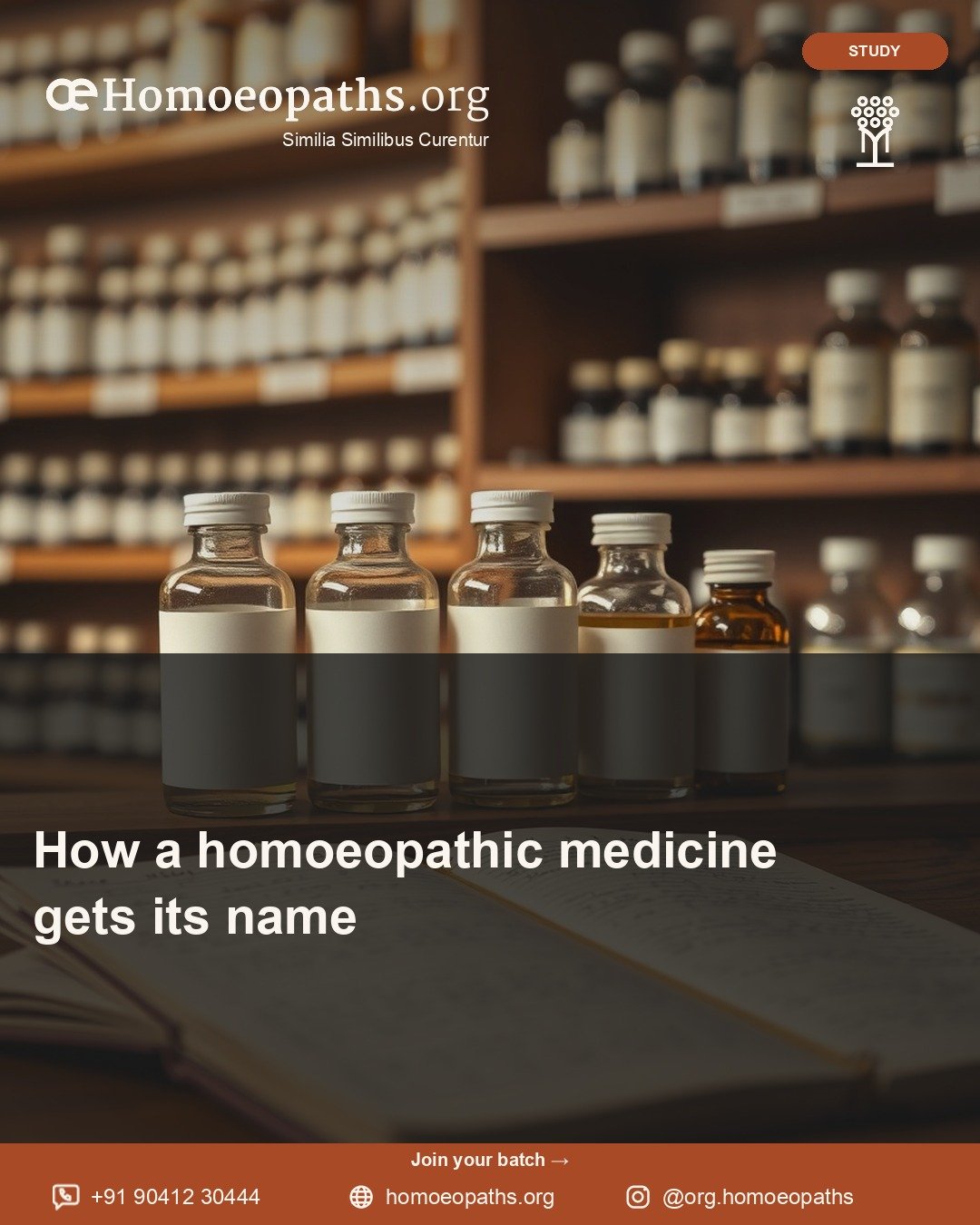 How a homoeopathic medicine gets its name | Homoeopaths.org