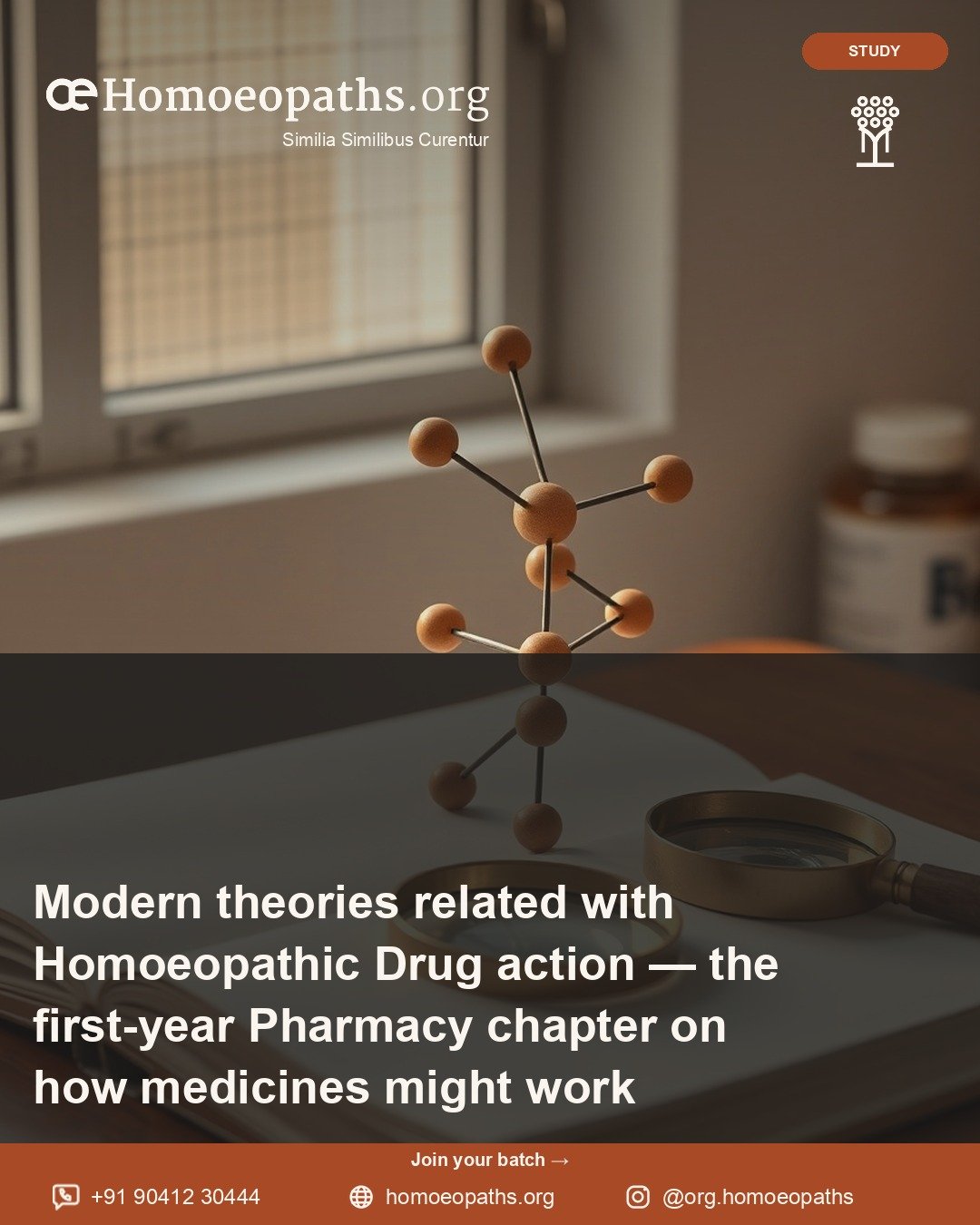 Modern theories related with Homoeopathic Drug action — the first-year Pharmacy chapter on how medicines might work | Homoeopaths.org