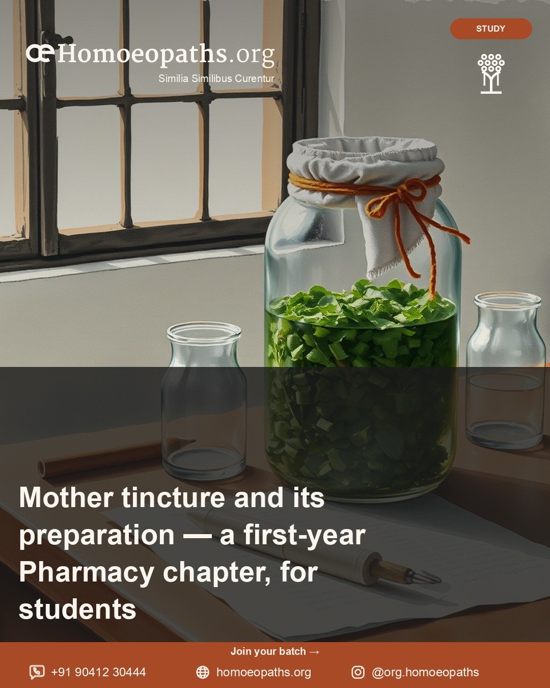 Mother tincture and its preparation — a first-year Pharmacy chapter, for students | Homoeopaths.org