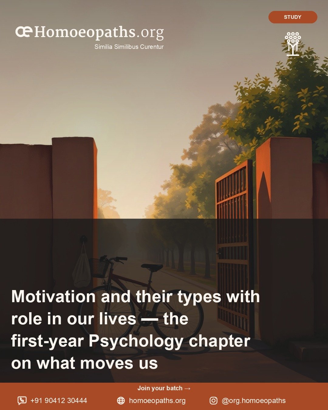 Motivation and their types with role in our lives — the first-year Psychology chapter on what moves us | Homoeopaths.org