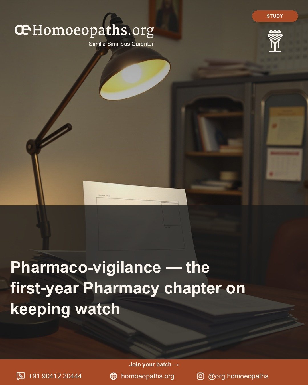 Pharmaco-vigilance — the first-year Pharmacy chapter on keeping watch | Homoeopaths.org