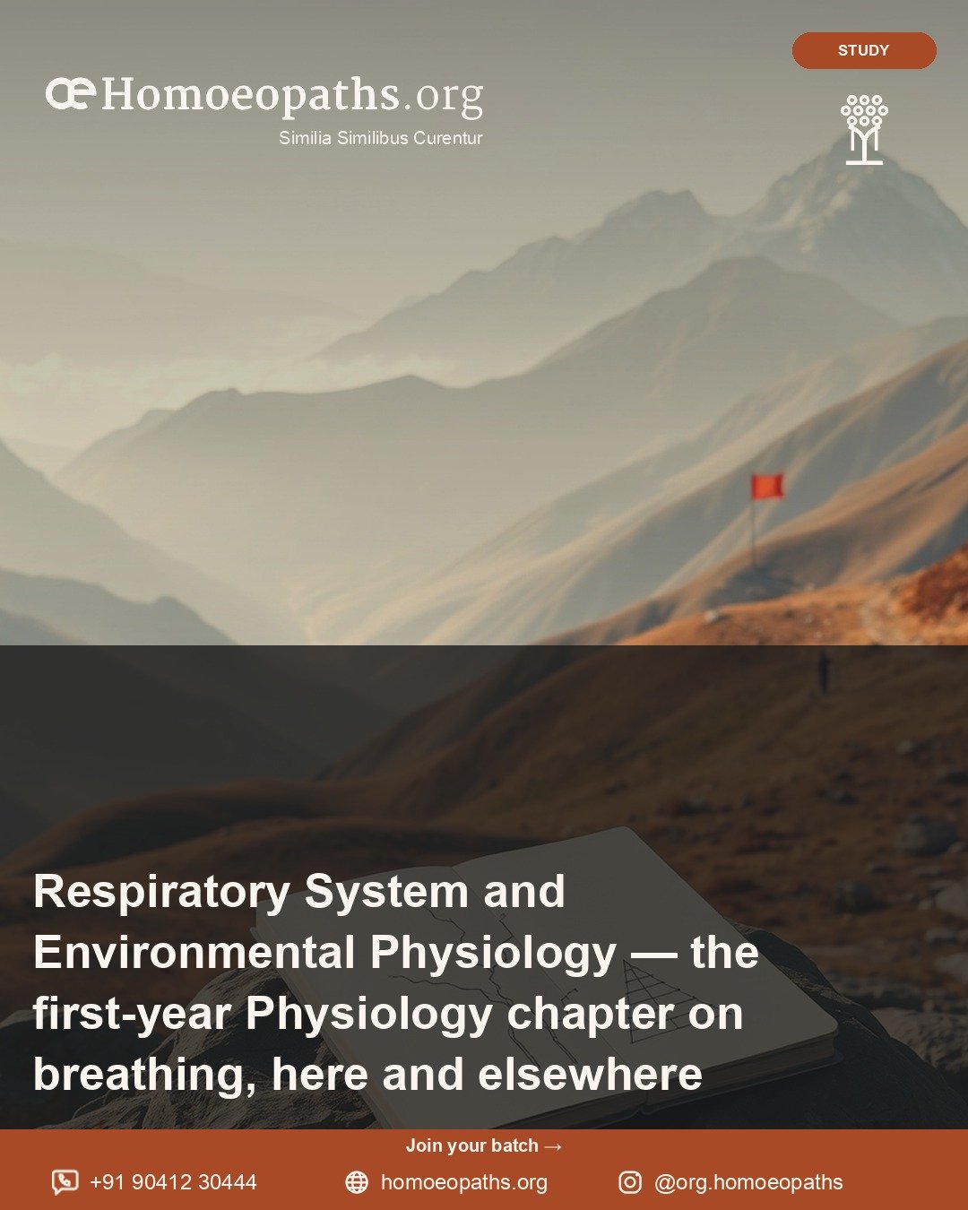Respiratory System and Environmental Physiology — the first-year Physiology chapter on breathing, here and elsewhere | Homoeopaths.org