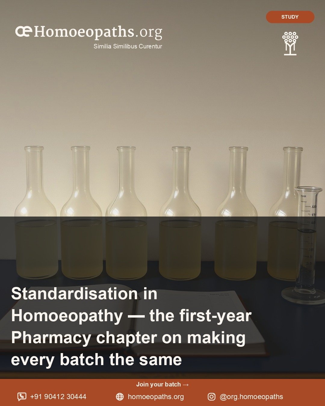 Standardisation in Homoeopathy — the first-year Pharmacy chapter on making every batch the same | Homoeopaths.org