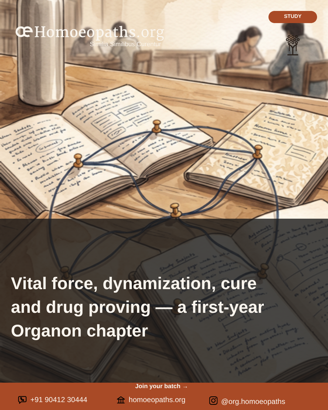 Vital force, dynamization, cure and drug proving — a first-year Organon chapter | Homoeopaths.org